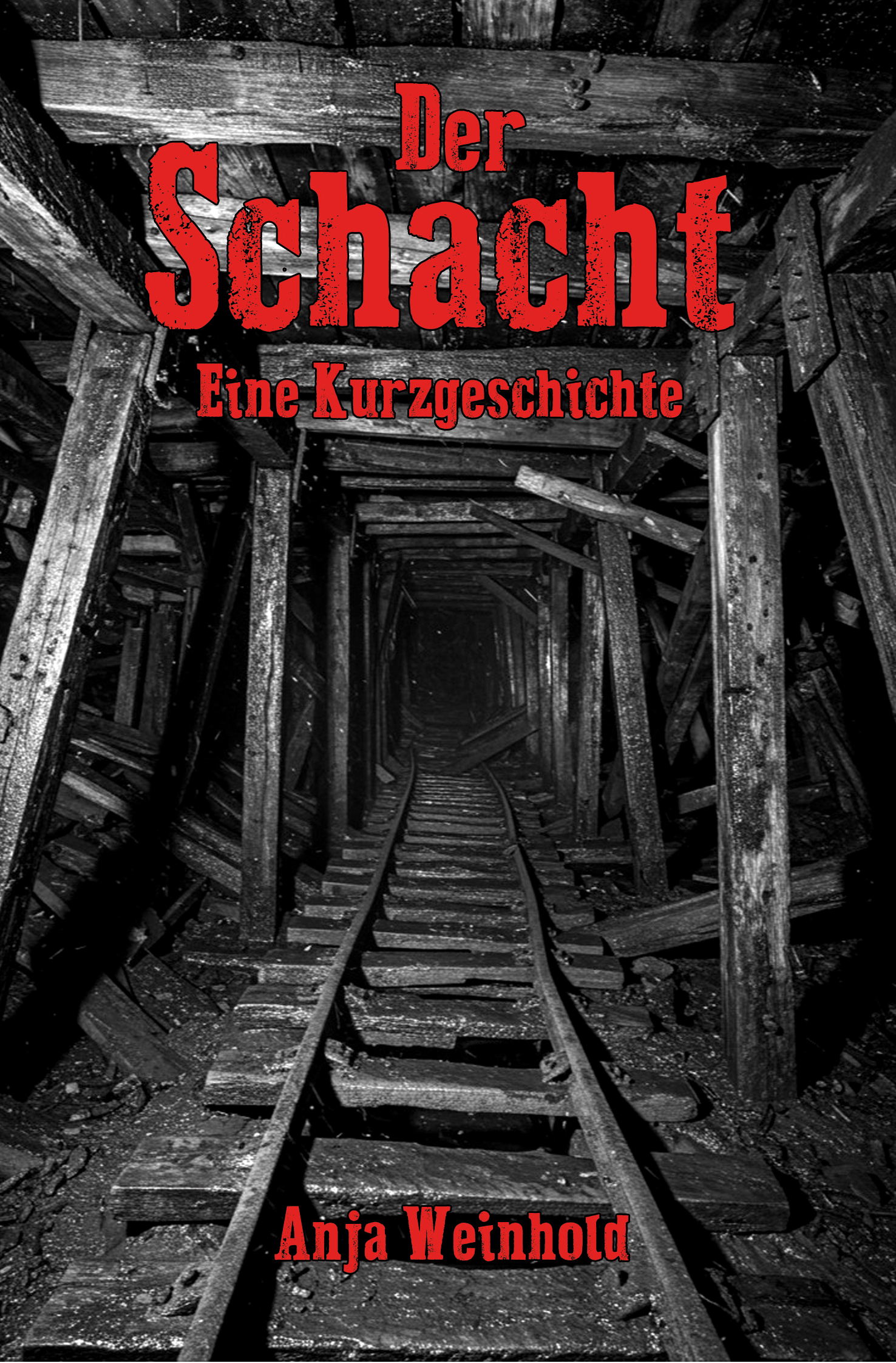Cover von Der Schacht